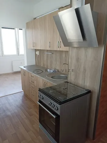 Pronájem bytu 2+1, České Budějovice, Budivojova, 60 m2