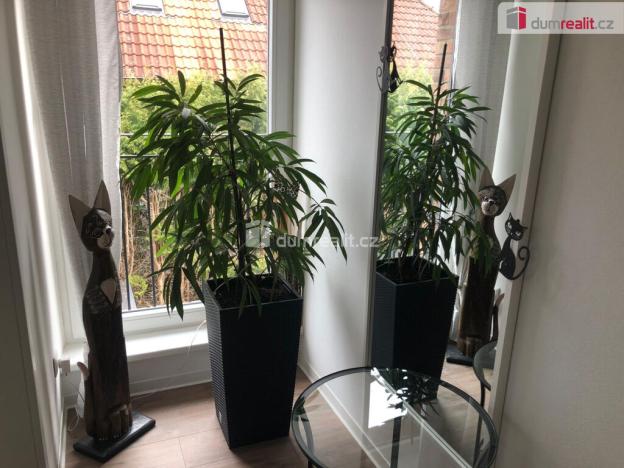 Prodej rodinného domu, Mariánské Lázně - Hamrníky, Krátká, 200 m2