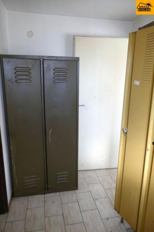 Prodej komerčního pozemku, Moravec, 3983 m2