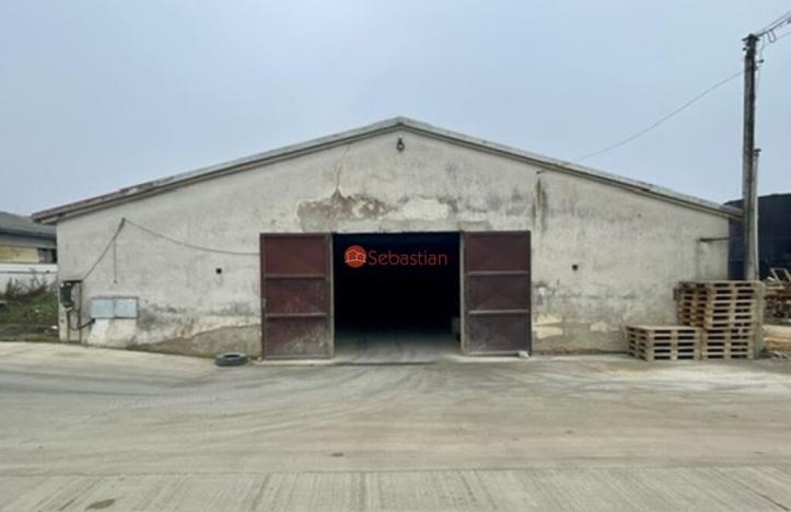 Pronájem skladu, Netvořice - Všetice, 675 m2