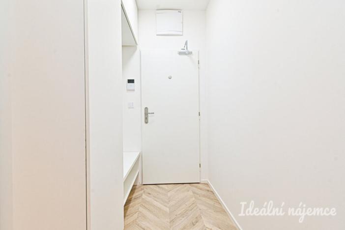 Pronájem bytu 1+kk, Brno, Cejl, 29 m2