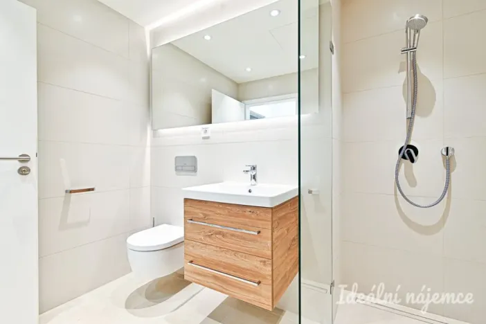 Pronájem bytu 1+kk, Brno, Cejl, 29 m2