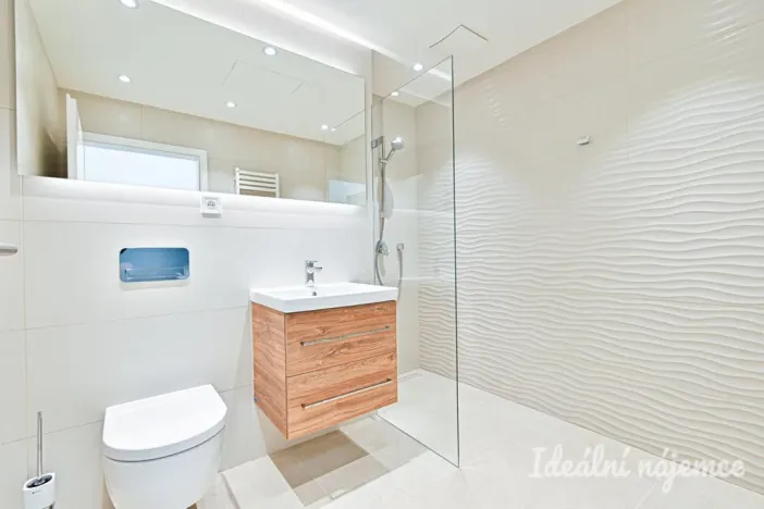 Pronájem bytu 1+kk, Brno, Cejl, 29 m2