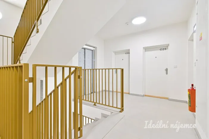 Pronájem bytu 1+kk, Brno, Cejl, 29 m2