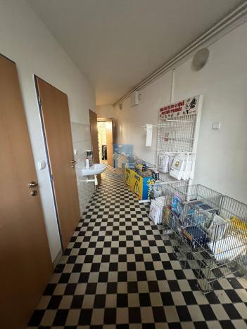 Pronájem obchodního prostoru, Domažlice, Husova třída, 286 m2