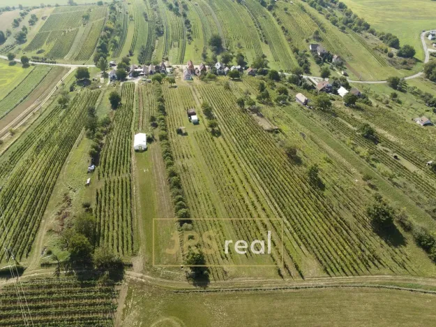 Prodej - jiné, Mutěnice, 80 m2