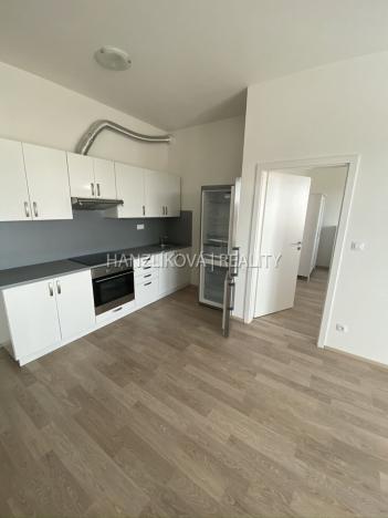 Pronájem bytu 2+kk, České Budějovice - České Budějovice 2, U Lesa, 50 m2