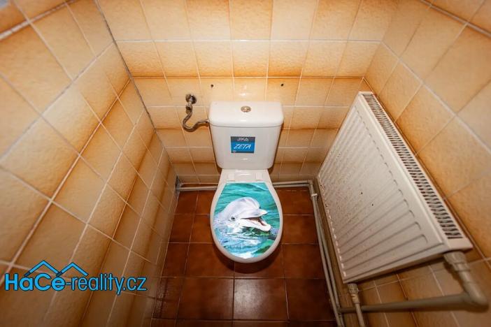 Prodej rodinného domu, Nový Ples, 320 m2