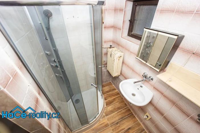 Prodej rodinného domu, Nový Ples, 320 m2