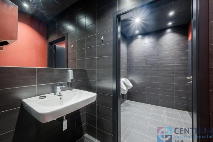 Pronájem komerční nemovitosti, Jablonec nad Nisou - Mšeno nad Nisou, Palackého, 264 m2