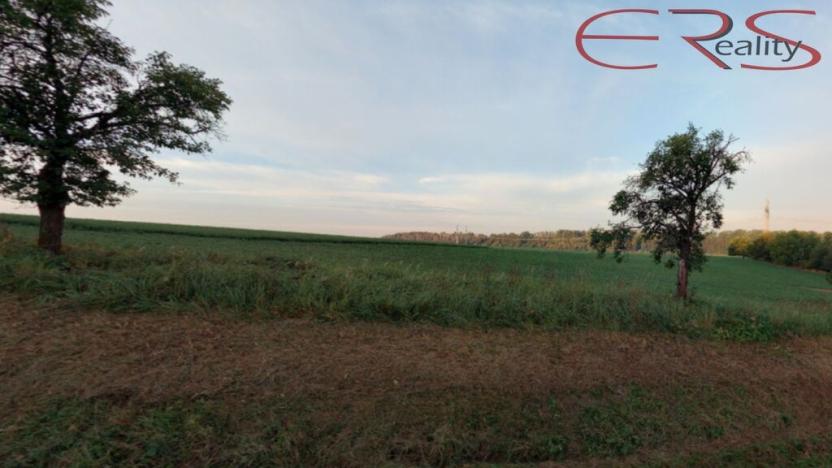Prodej louky, Rovensko pod Troskami, 16112 m2