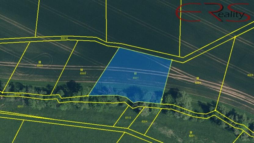 Prodej louky, Rovensko pod Troskami, 16112 m2