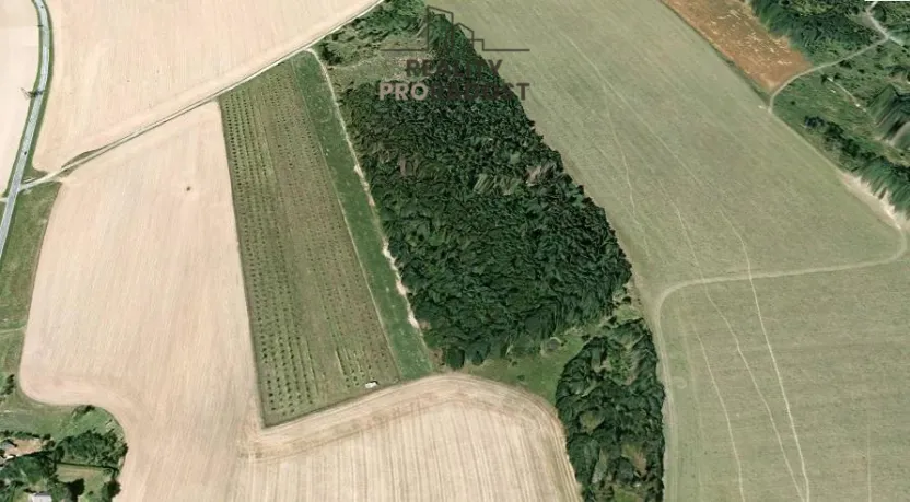 Prodej sadu/vinice, Odry - Kamenka, 40158 m2