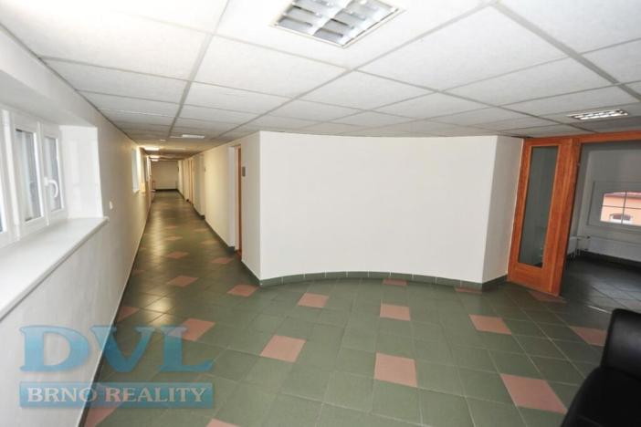 Pronájem kanceláře, Brno, Hybešova, 55 m2
