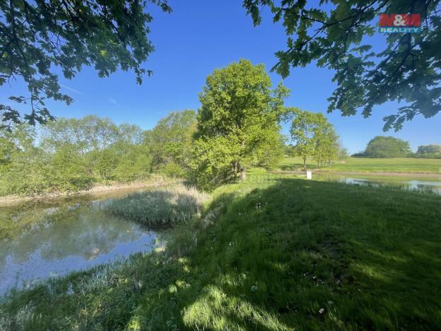 Prodej rybníku, Hrejkovice - Níkovice, 1618 m2