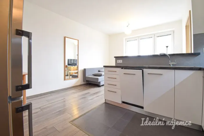 Pronájem bytu 2+kk, Brno, Renneská třída, 39 m2