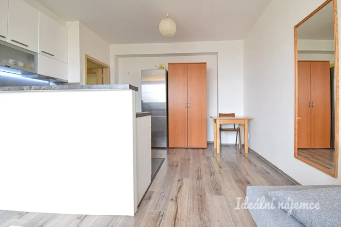 Pronájem bytu 2+kk, Brno, Renneská třída, 39 m2