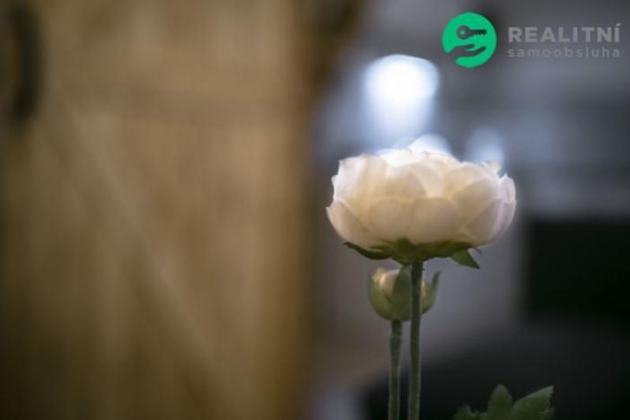 Prodej rodinného domu, Herálec, Herálec, 140 m2