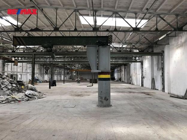 Pronájem skladu, Čelákovice, Křižíkova, 1500 m2