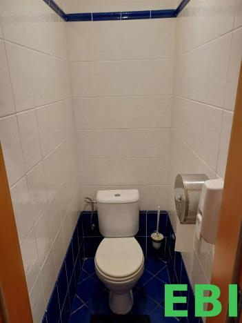 Pronájem kanceláře, Praha - Krč, Nová cesta, 430 m2