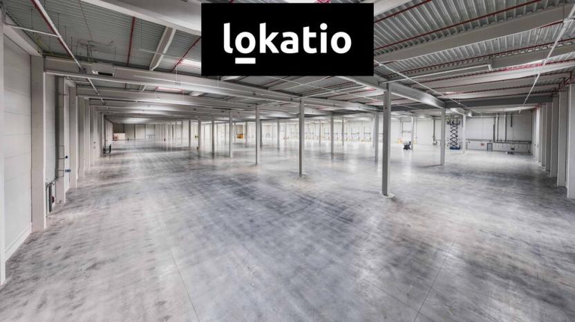 Pronájem skladu, Lovosice, Terezínská, 14562 m2