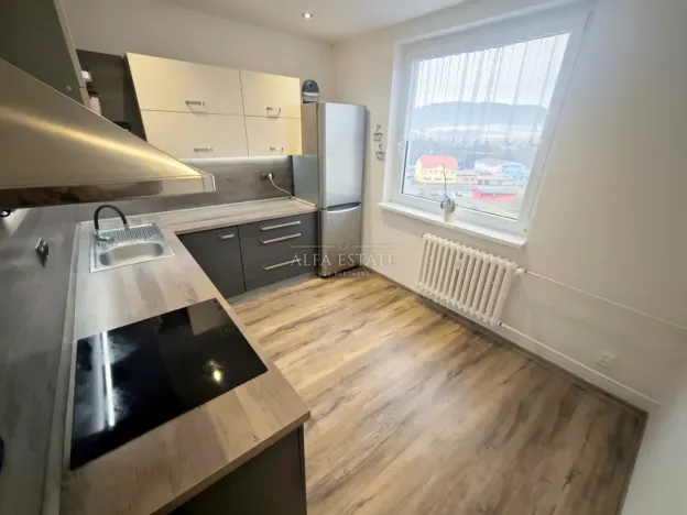 Pronájem bytu 3+1, Ostrov, Družební, 80 m2