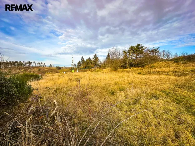 Prodej pozemku pro bydlení, Milešov, 1055 m2