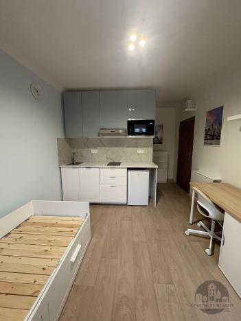 Pronájem bytu 1+kk, Praha - Krč, Čerčanská, 22 m2