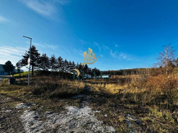 Prodej obchodního prostoru, Chomutov, Lipská, 3000 m2