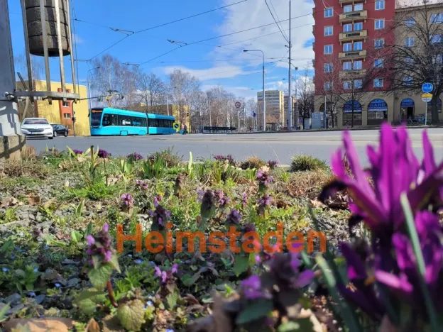 Pronájem kanceláře, Ostrava - Poruba, 17. listopadu, 126 m2