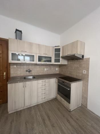 Pronájem bytu 1+kk, Plzeň - Jižní Předměstí, Vrchlického, 30 m2