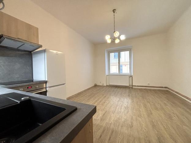 Pronájem bytu 1+kk, Plzeň - Jižní Předměstí, Vrchlického, 28 m2