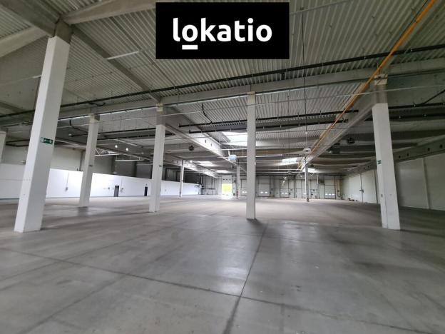 Pronájem skladu, Krupka, Eduarda Proppera, 5493 m2