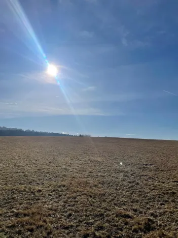 Prodej lesa, Svatý Jan nad Malší - Sedlce, 27831 m2