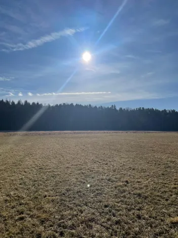 Prodej lesa, Svatý Jan nad Malší - Sedlce, 27831 m2