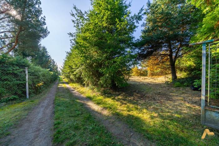 Prodej pozemku pro bydlení, Dobev - Oldřichov, 1995 m2