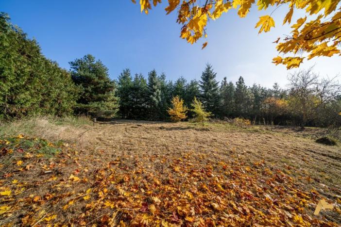 Prodej pozemku pro bydlení, Dobev - Oldřichov, 1995 m2