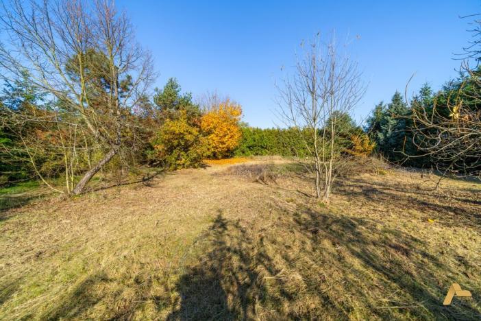 Prodej pozemku pro bydlení, Dobev - Oldřichov, 1995 m2