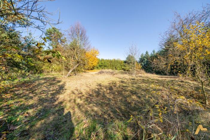 Prodej pozemku pro bydlení, Dobev - Oldřichov, 1995 m2