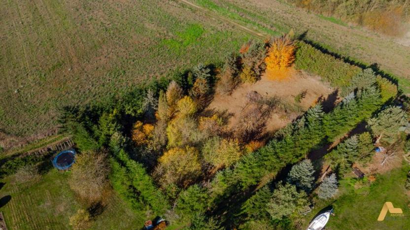 Prodej pozemku pro bydlení, Dobev - Oldřichov, 1995 m2