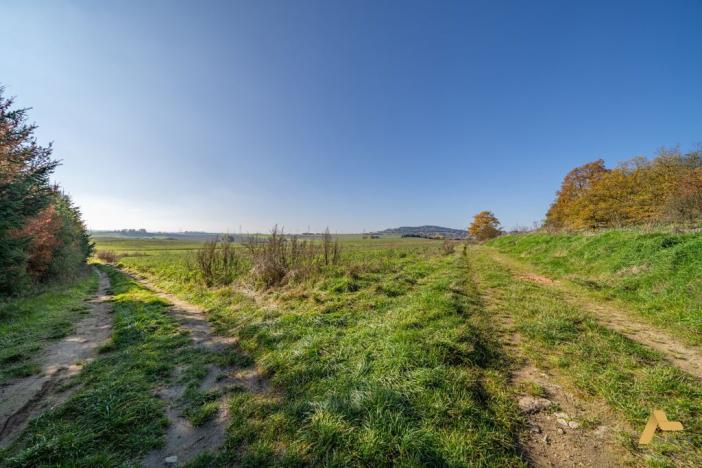 Prodej pozemku pro bydlení, Dobev - Oldřichov, 1995 m2