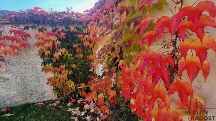 Prodej rodinného domu, Višňové, 150 m2