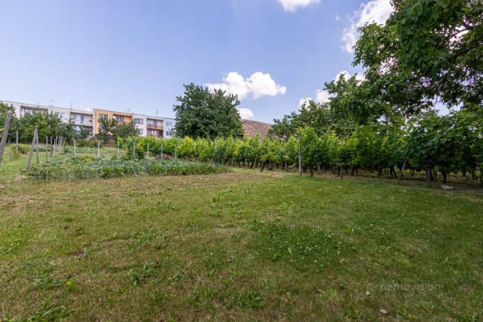 Prodej rodinného domu, Strážovice, Strážovice, 190 m2