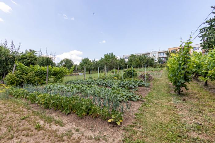 Prodej rodinného domu, Strážovice, Strážovice, 190 m2