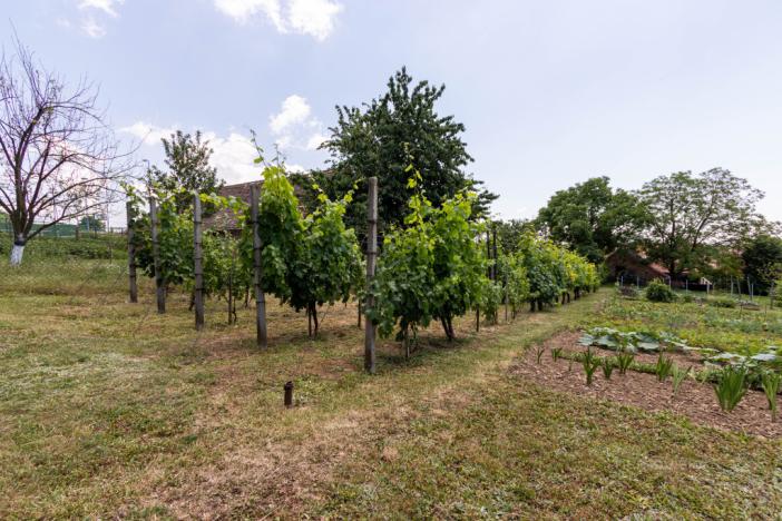 Prodej rodinného domu, Strážovice, Strážovice, 190 m2