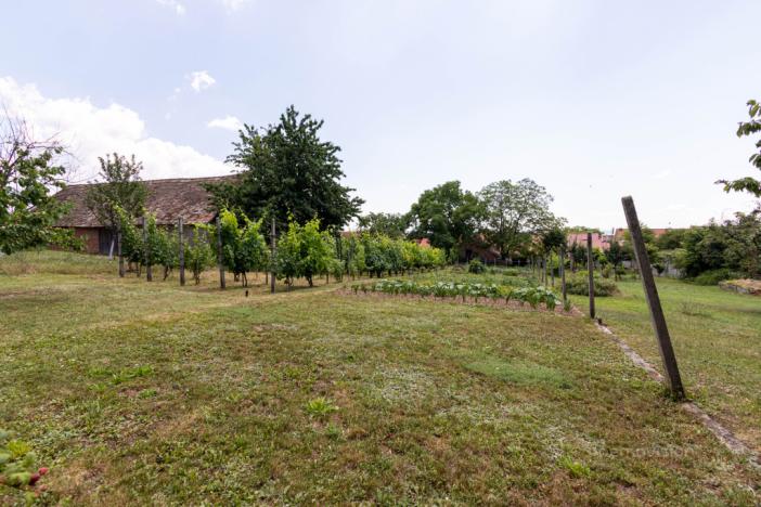 Prodej rodinného domu, Strážovice, Strážovice, 190 m2