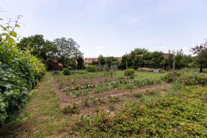 Prodej rodinného domu, Strážovice, Strážovice, 190 m2