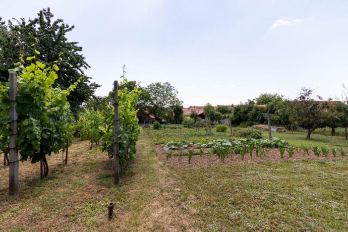 Prodej rodinného domu, Strážovice, Strážovice, 190 m2