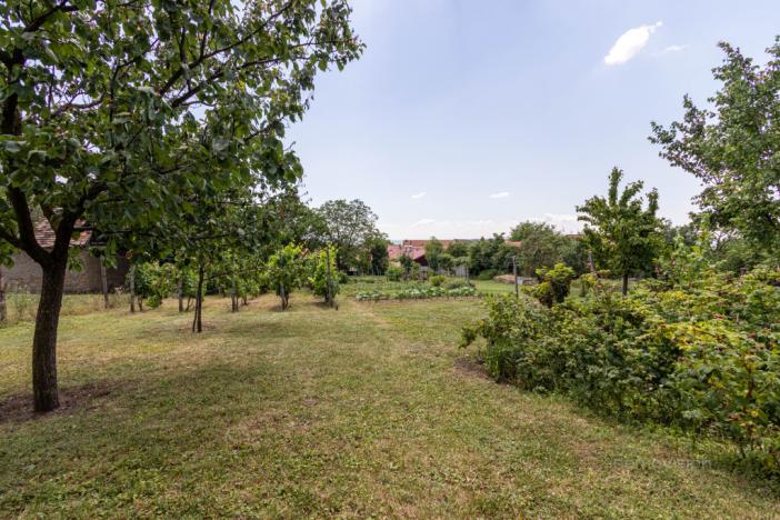 Prodej rodinného domu, Strážovice, Strážovice, 190 m2