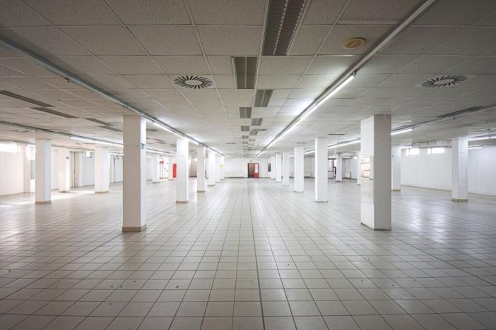 Pronájem obchodního prostoru, Plzeň - Lobzy, Sousedská, 1600 m2